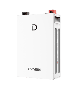 АКБ LiFePO4 5.12 кВт&middot;год DYNESS DL5.0C HEATED 51.2 В 100 А&middot;год з підігрівом А-0555 фото